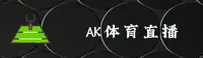 AK体育(AKSPORT)官方网站 · 极致速度体验 · R7B2